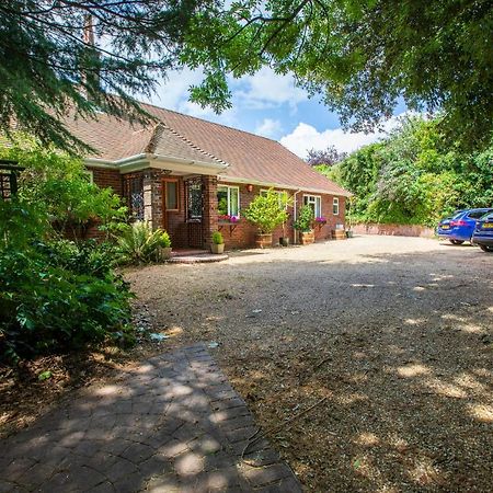Cosy Annex, Close To Beach With Parking Torquay Exterior photo